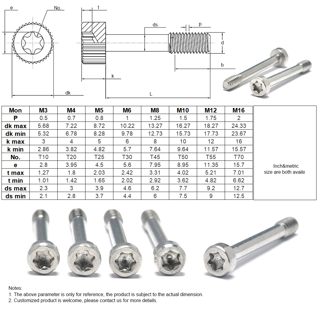 Torx Soket Başlığı Sabit Vidaları-5B-14