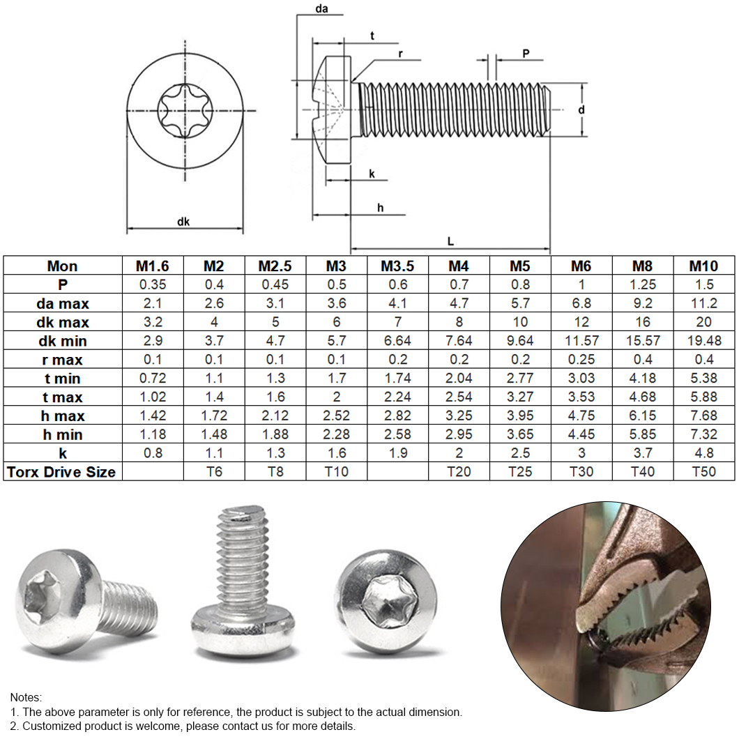 SS304 SS316 İnç Boyutu Torx Tava Başlı Hırsızlığa Karşı Makine Vidası (2)